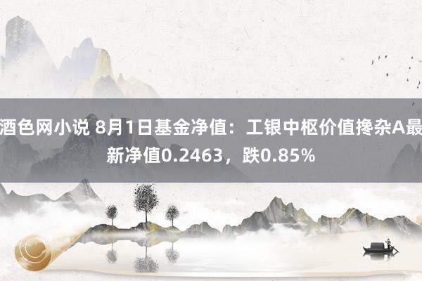 酒色网小说 8月1日基金净值：工银中枢价值搀杂A最新净值0.2463，跌0.85%