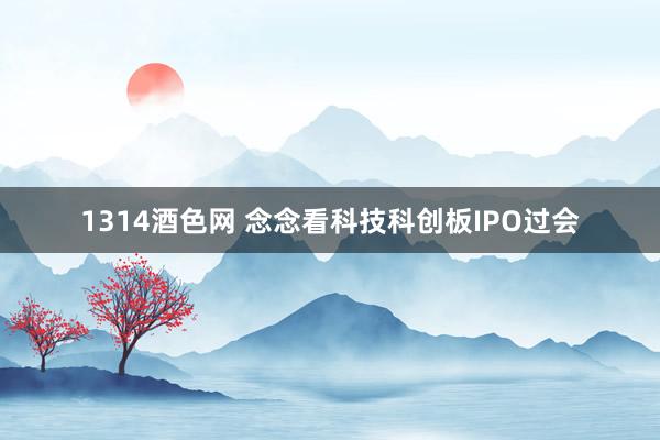 1314酒色网 念念看科技科创板IPO过会