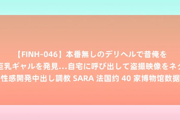 【FINH-046】本番無しのデリヘルで昔俺をバカにしていた同級生の巨乳ギャルを発見…自宅に呼び出して盗撮映像をネタに本番を強要し性感開発中出し調教 SARA 法国约 40 家博物馆数据系统遭威胁软件舛误：含奥运会场馆大皇宫