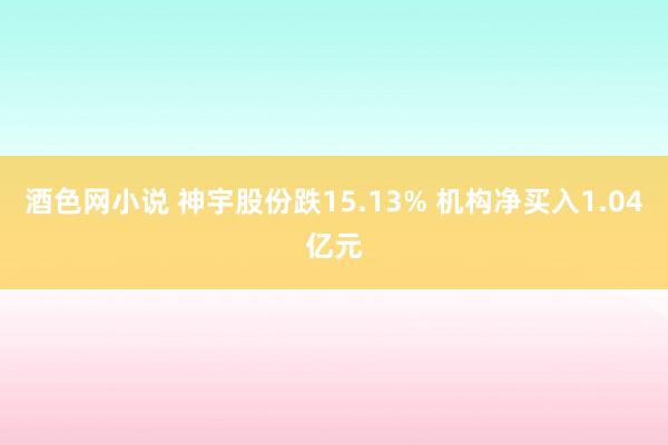 酒色网小说 神宇股份跌15.13% 机构净买入1.04亿元