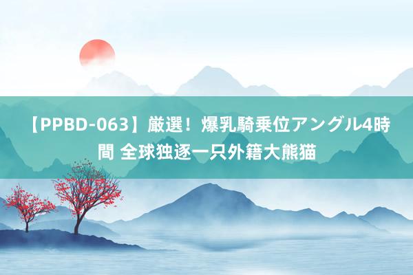 【PPBD-063】厳選！爆乳騎乗位アングル4時間 全球独逐一只外籍大熊猫