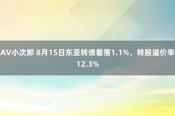 AV小次郎 8月15日东亚转债着落1.1%，转股溢价率12.3%