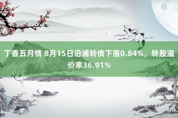 丁香五月情 8月15日沿浦转债下落0.84%，转股溢价率36.91%