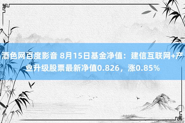 酒色网百度影音 8月15日基金净值：建信互联网+产业升级股票最新净值0.826，涨0.85%