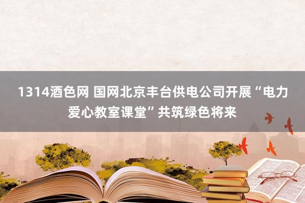 1314酒色网 国网北京丰台供电公司开展“电力爱心教室课堂”共筑绿色将来