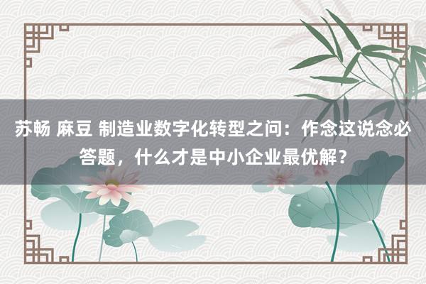 苏畅 麻豆 制造业数字化转型之问：作念这说念必答题，什么才是中小企业最优解？