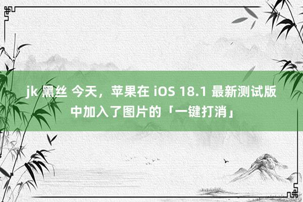 jk 黑丝 今天，苹果在 iOS 18.1 最新测试版中加入了图片的「一键打消」