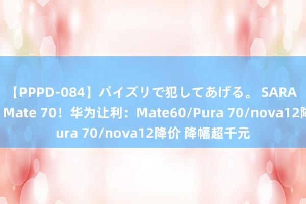 【PPPD-084】パイズリで犯してあげる。 SARA 迎接三折叠屏、Mate 70！华为让利：Mate60/Pura 70/nova12降价 降幅超千元