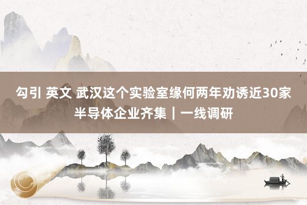 勾引 英文 武汉这个实验室缘何两年劝诱近30家半导体企业齐集｜一线调研