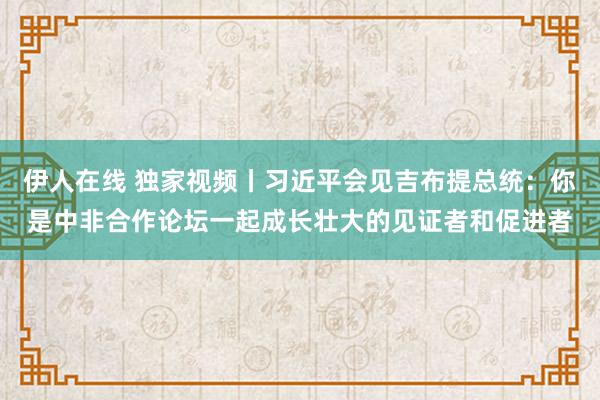 伊人在线 独家视频丨习近平会见吉布提总统：你是中非合作论坛一起成长壮大的见证者和促进者