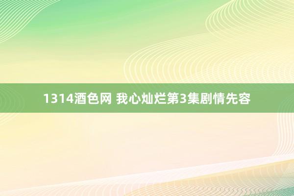 1314酒色网 我心灿烂第3集剧情先容